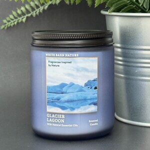 BBW Glacier Lagoon White Barn Bath & Body Works Mason Jar Single Wick Candle